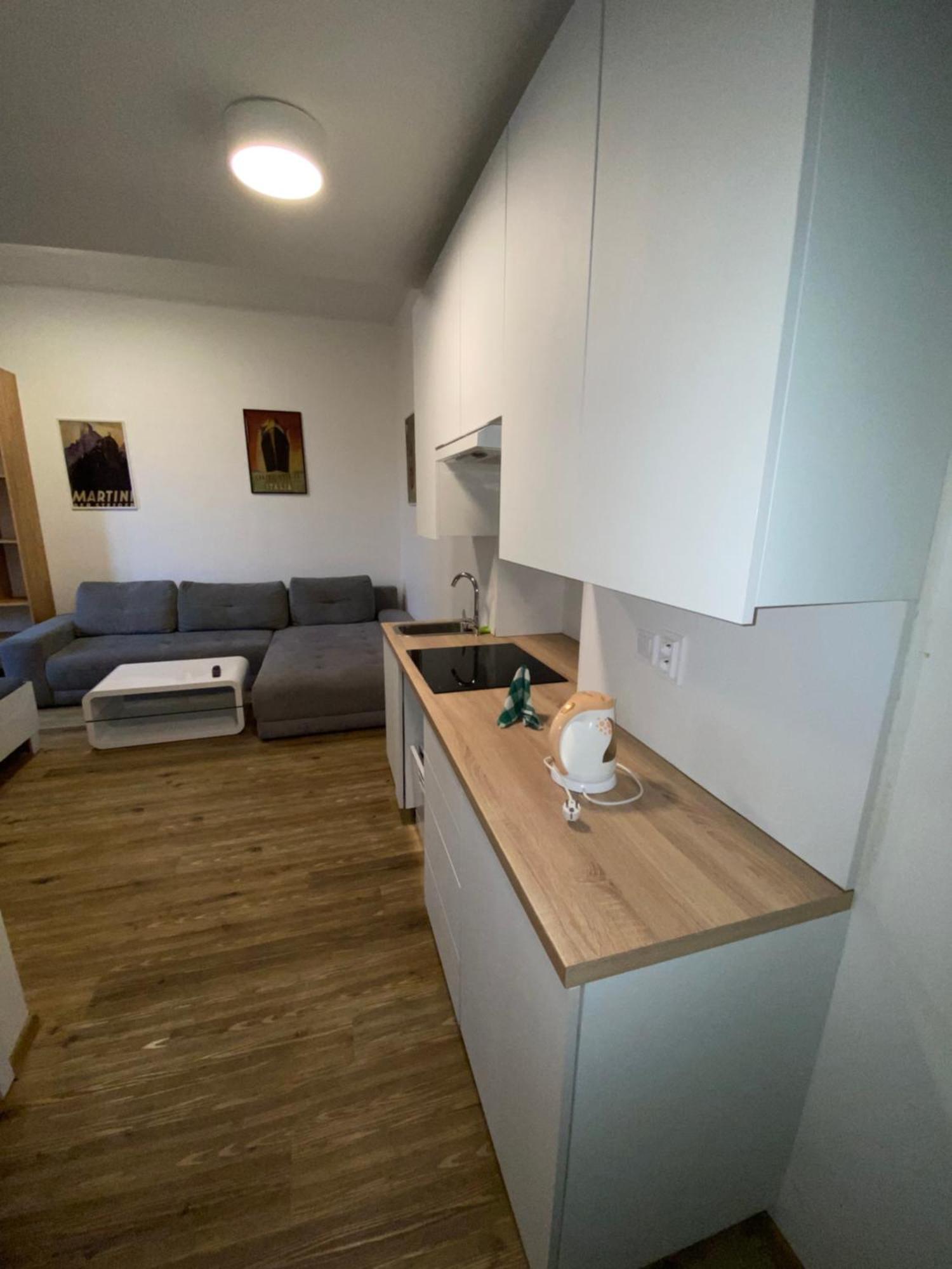 Garsoniera Ostrava City Centr, Na Hradbach 118 エクステリア 写真