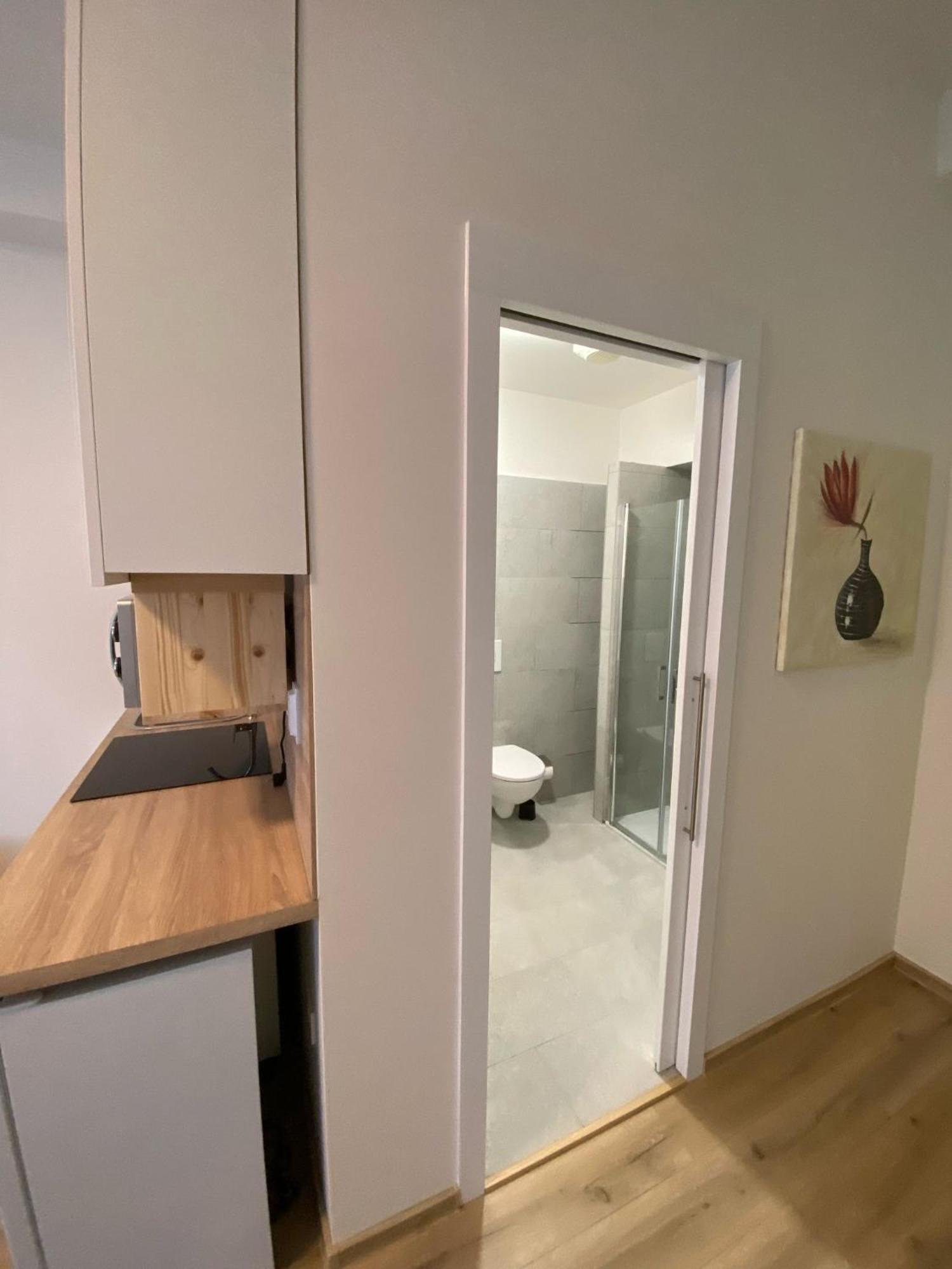 Garsoniera Ostrava City Centr, Na Hradbach 118 エクステリア 写真